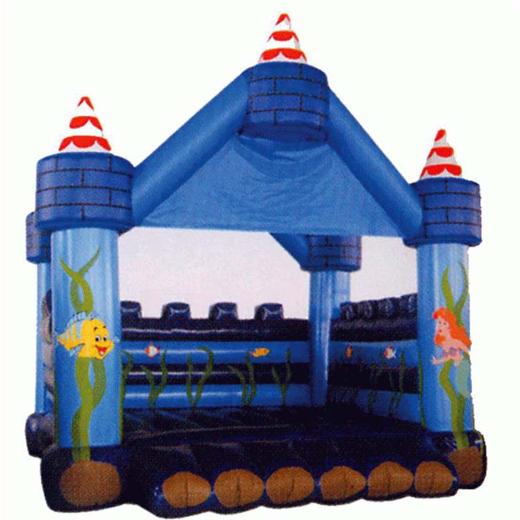 Inflatable Castle FLCA-A20019