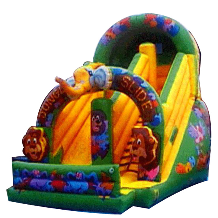 Inflatable Slides FLSL-A20053