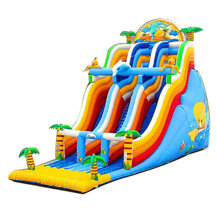 Inflatable Slides FLSL-A20062